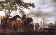 George Stubbs Mares and Foals in a River Landscape oil painting reproduction